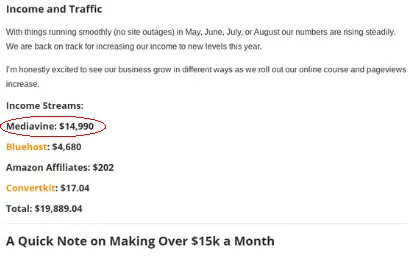 Chsing foxes  income report