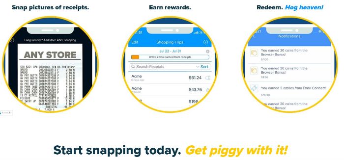 How receipt hog works to earn paypal money