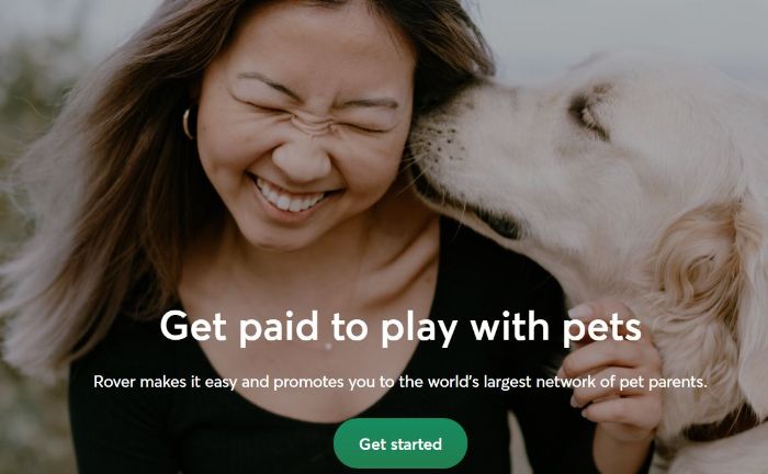 Have fun with pets and get paid for it