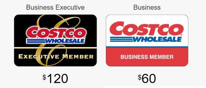 Costco business memberships