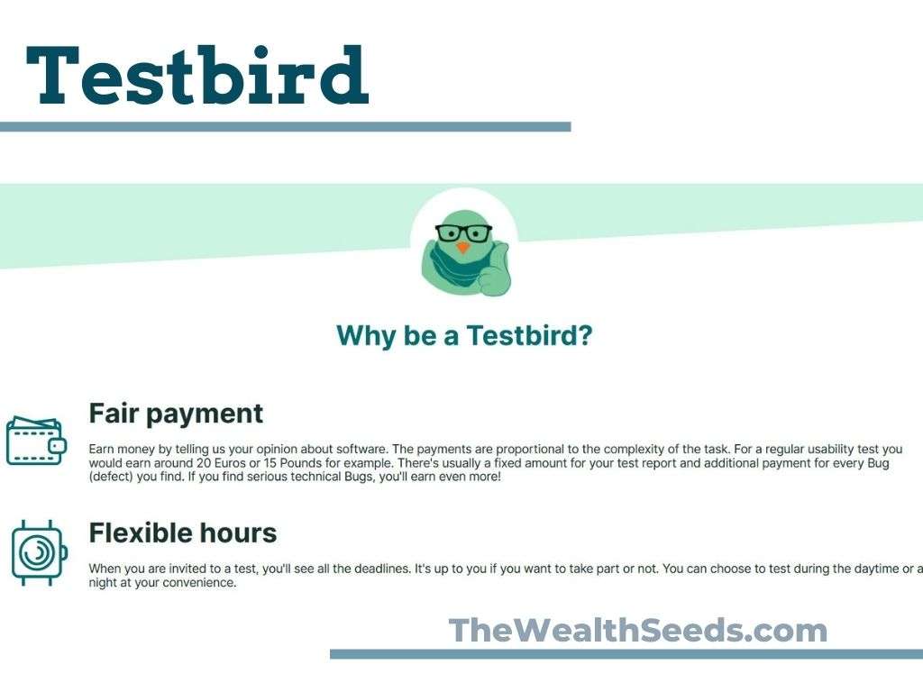 Make extra cash testing AI with Testbird