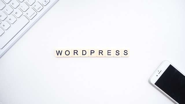 wordpress skill will make you money online