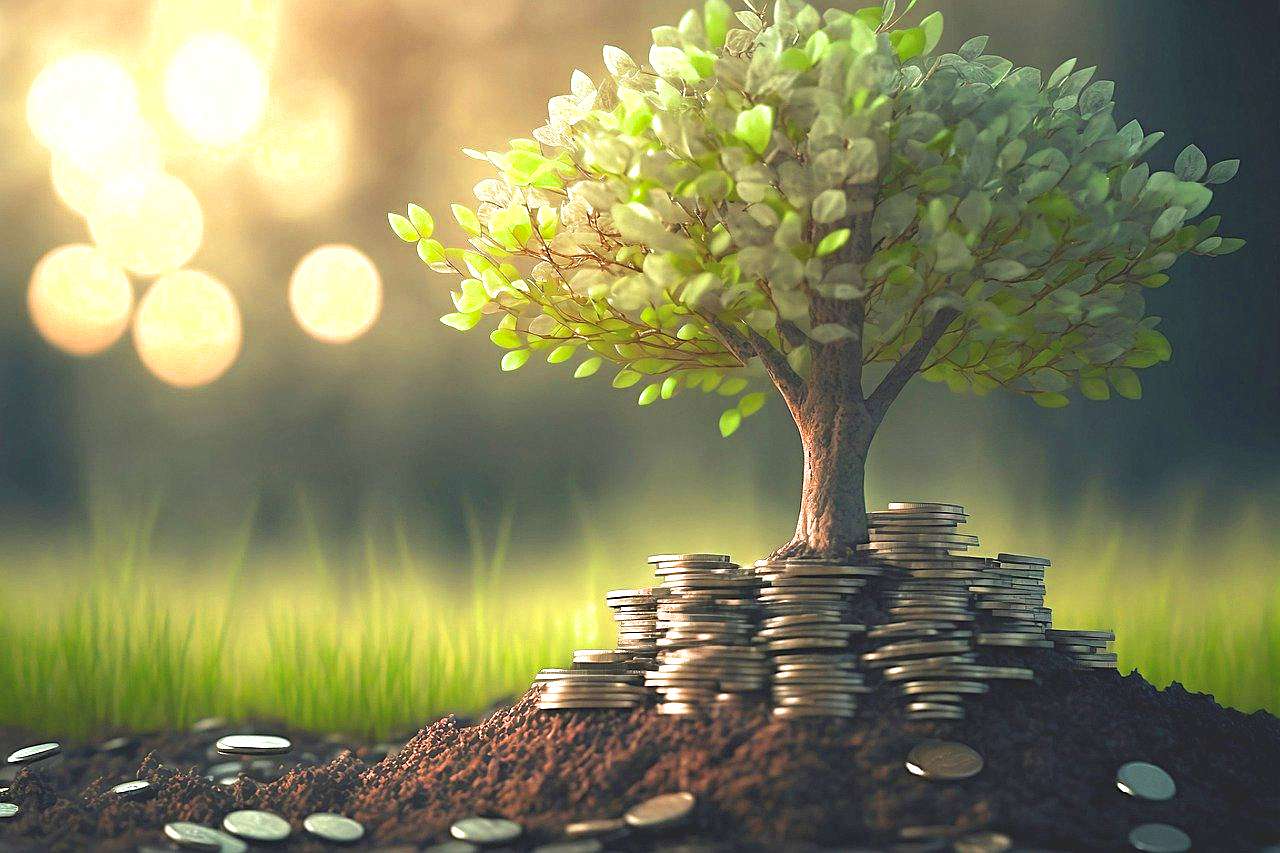 Does money come from trees? A beatiful money tree.